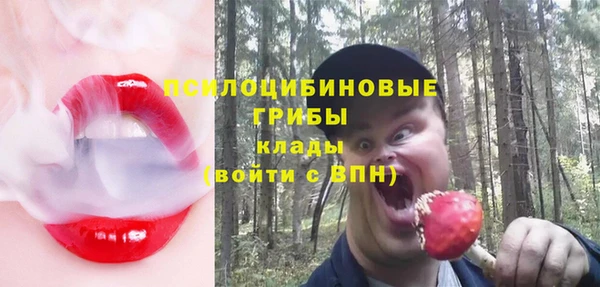 метадон Алексин