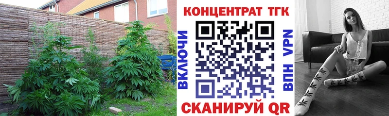 OMG ссылка  Заринск  Дистиллят ТГК гашишное масло 