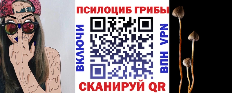 Галлюциногенные грибы ЛСД  где продают   Заринск 